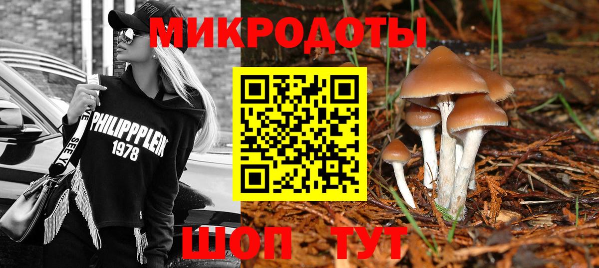 Богданович  где продают   Вход с VPN  Галлюциногенные грибы GOLDEN TEACHER 